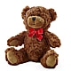 Adorable Plush Bear – Kroger, Cincinnati OH