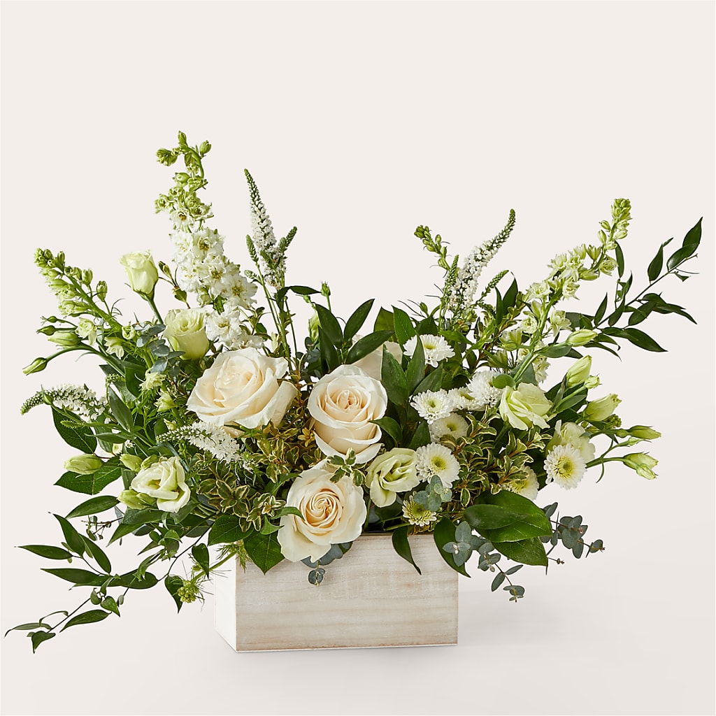 Cashmere Bouquet – Kroger, Cincinnati OH