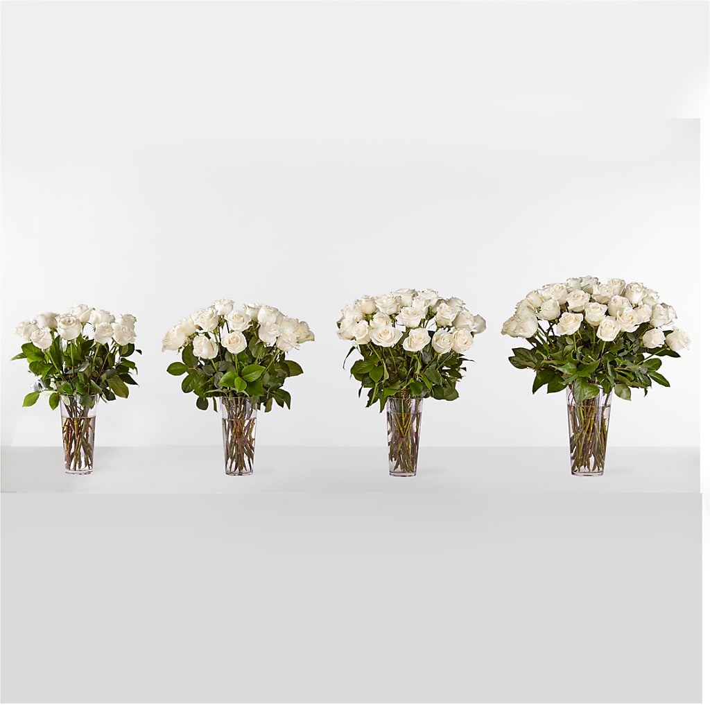 Long Stem White Rose Bouquet – Kroger, Cincinnati OH