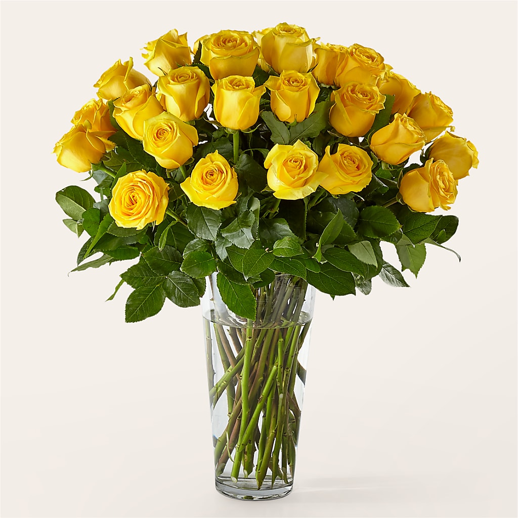 Long Stem Yellow Rose Bouquet – Kroger, Cincinnati OH