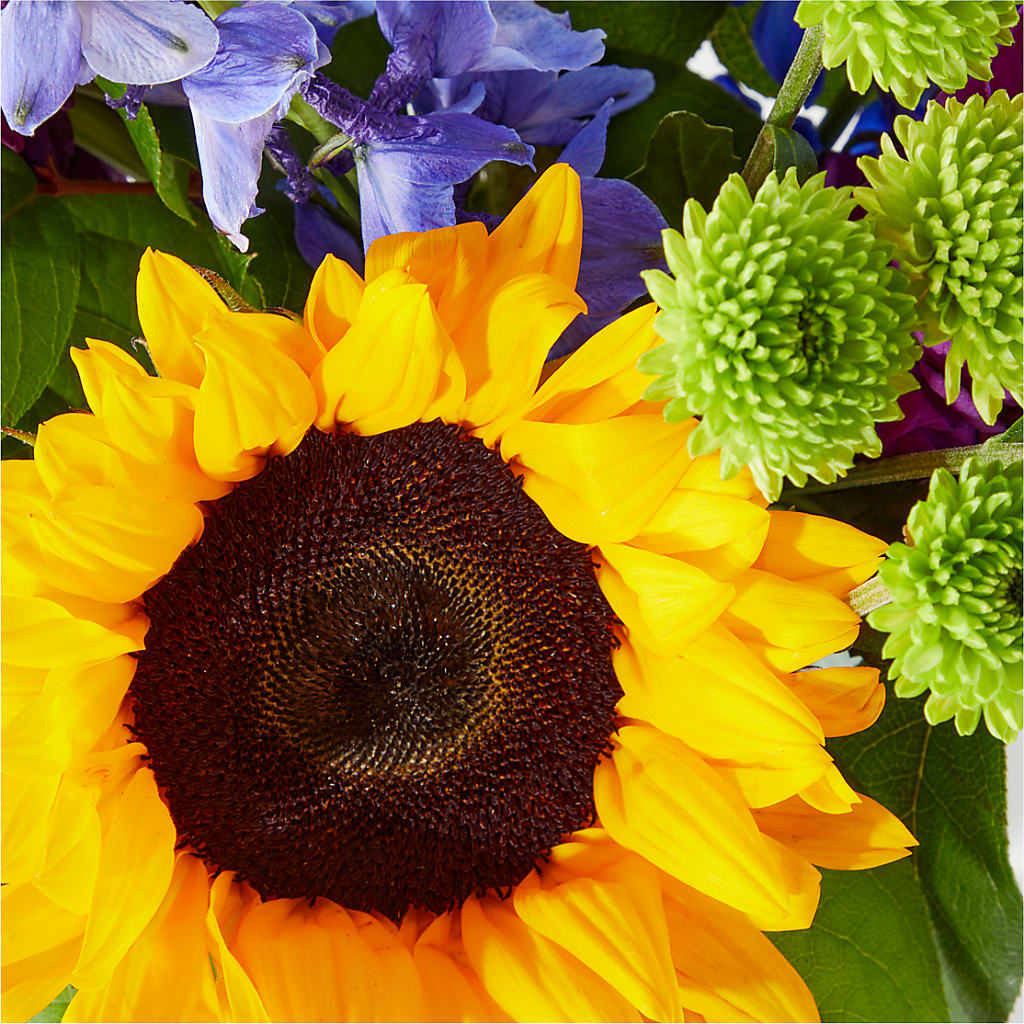 Catching Rays Bouquet – Kroger, Cincinnati OH