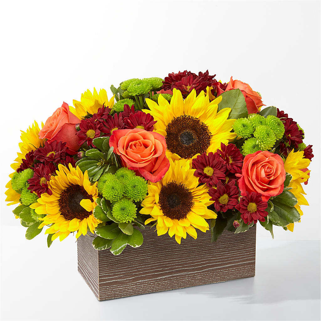 Happy Harvest Garden – Kroger, Cincinnati OH