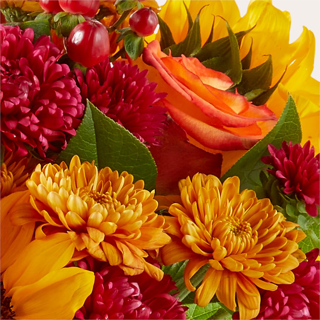 Sweater Season - A Florist Original – Kroger, Cincinnati OH