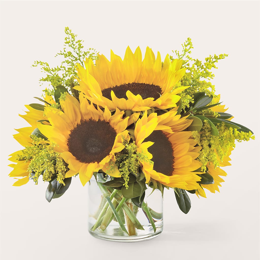 Beaming Sunflower Bouquet – Kroger, Cincinnati OH