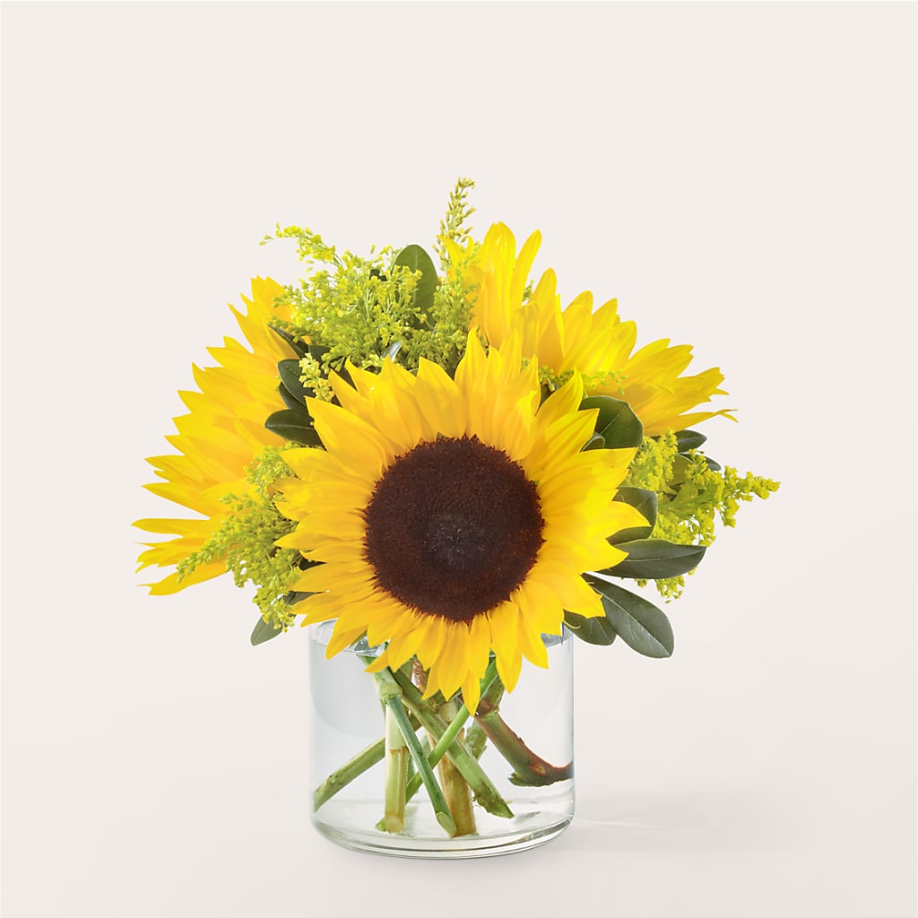 Beaming Sunflower Bouquet – Kroger, Cincinnati OH