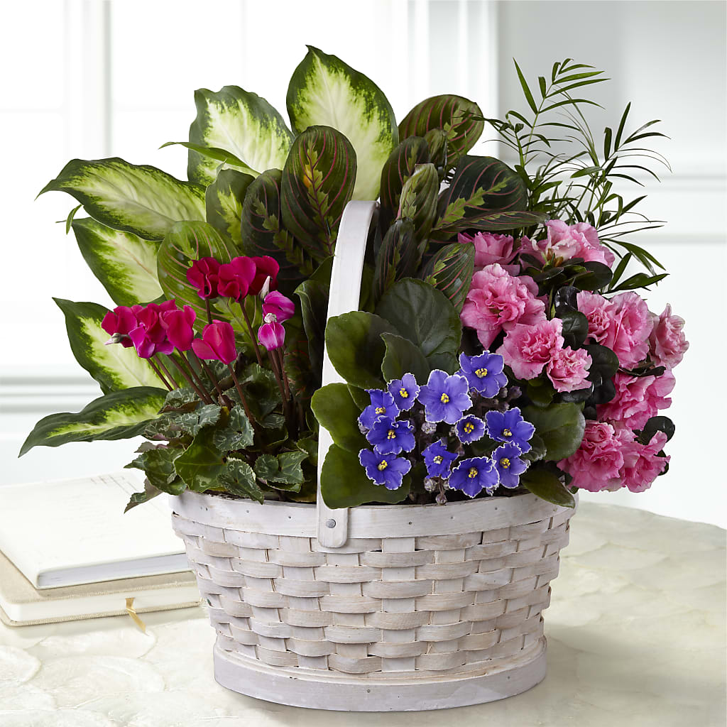 Peaceful Garden Planter – Kroger, Cincinnati OH