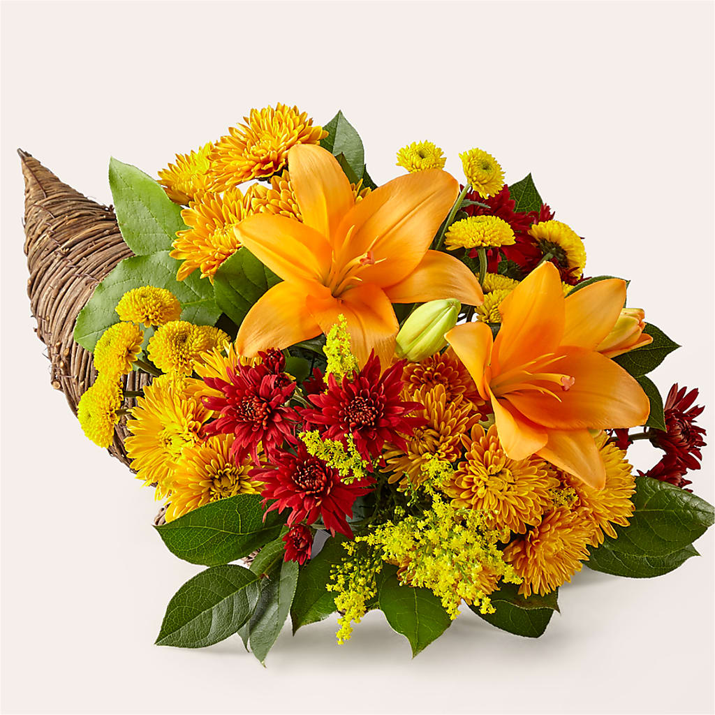 Feast of Color Cornucopia – Kroger, Cincinnati OH