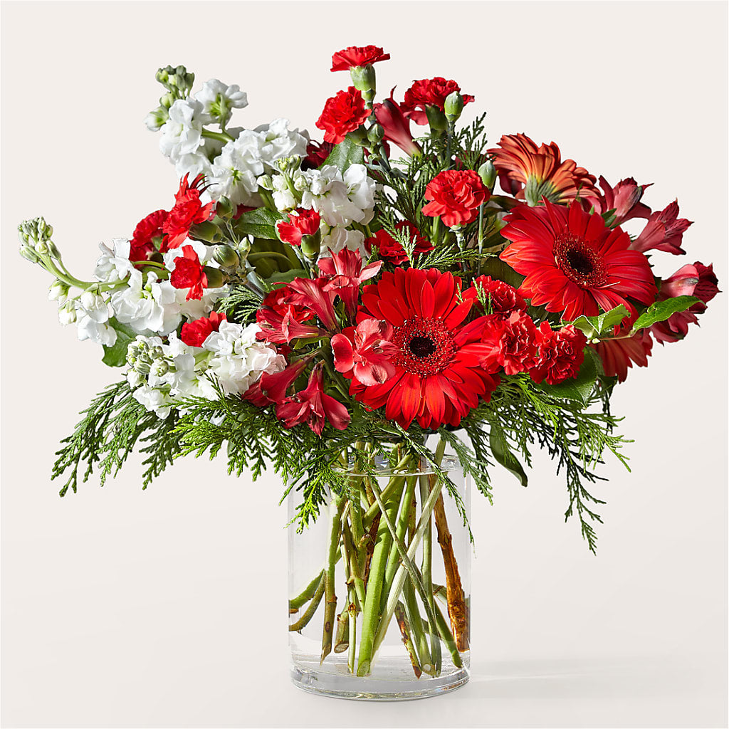 Holidaisy Bouquet – Kroger, Cincinnati OH