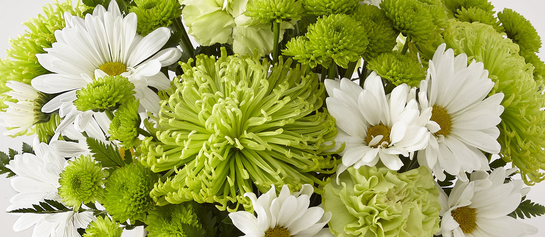 St. Patrick's Day flowers in Cincinnati, OH | Kroger – Local Flower ...