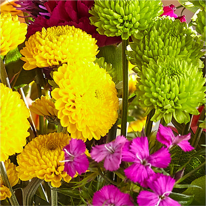 Bold & Bright – A Florist Original –  Kroger, Cincinnati OH