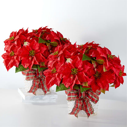 Happiest Holidays Poinsettia Bundle –  Kroger, Cincinnati OH