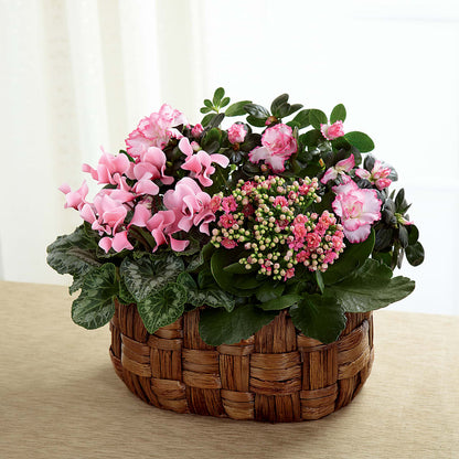 Pink Assortment –  Kroger, Cincinnati OH