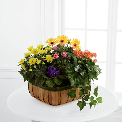 Gentle Blossoms Basket –  Kroger, Cincinnati OH