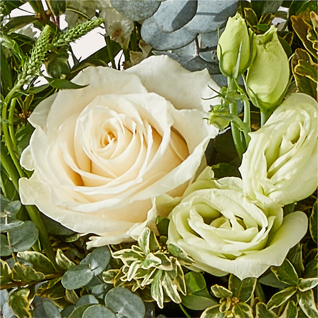Cashmere Bouquet –  Kroger, Cincinnati OH