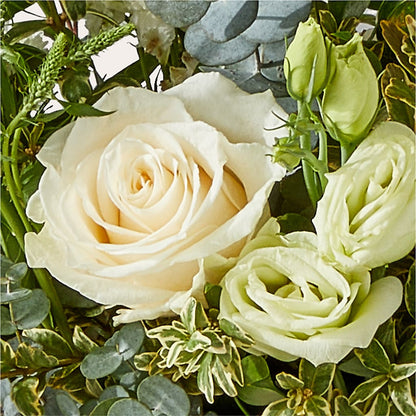 Cashmere Bouquet –  Kroger, Cincinnati OH