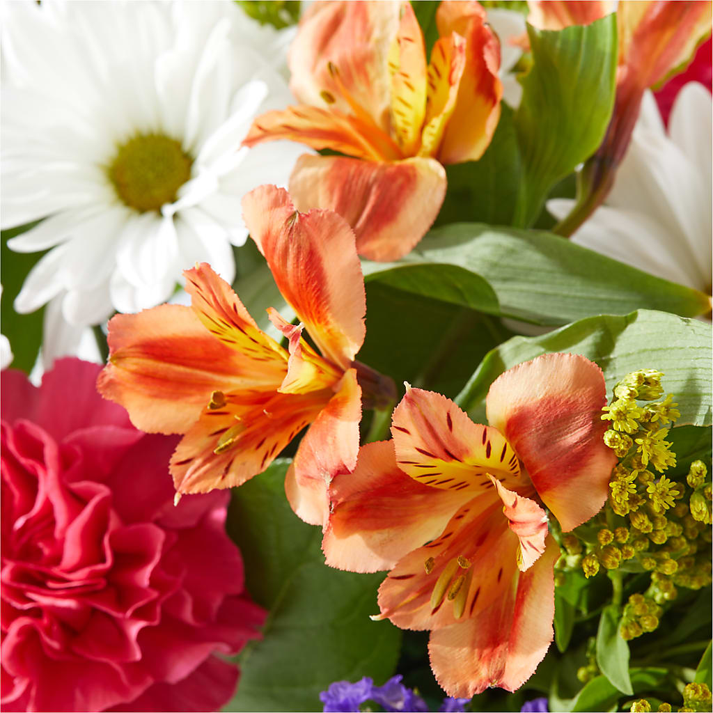 Oopsie Daisy Box Bouquet –  Kroger, Cincinnati OH