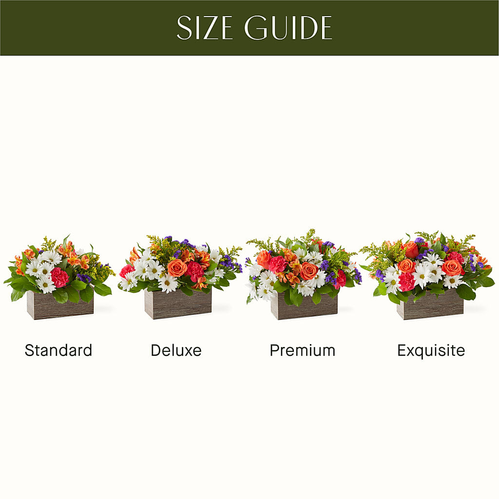 Oopsie Daisy Box Bouquet –  Kroger, Cincinnati OH