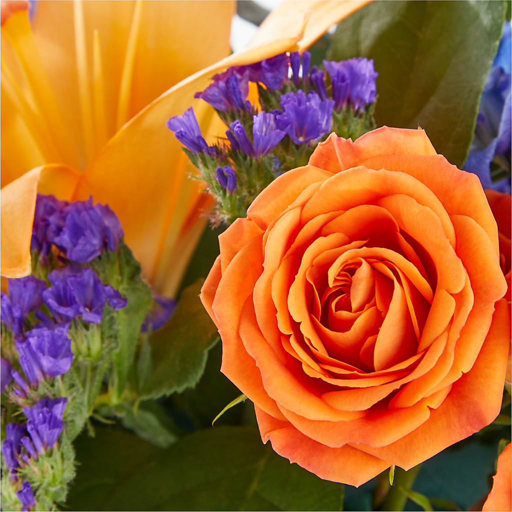 Radiant Citrus Box Bouquet –  Kroger, Cincinnati OH