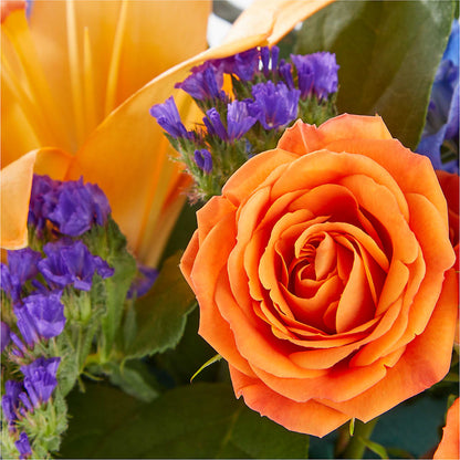 Radiant Citrus Box Bouquet –  Kroger, Cincinnati OH