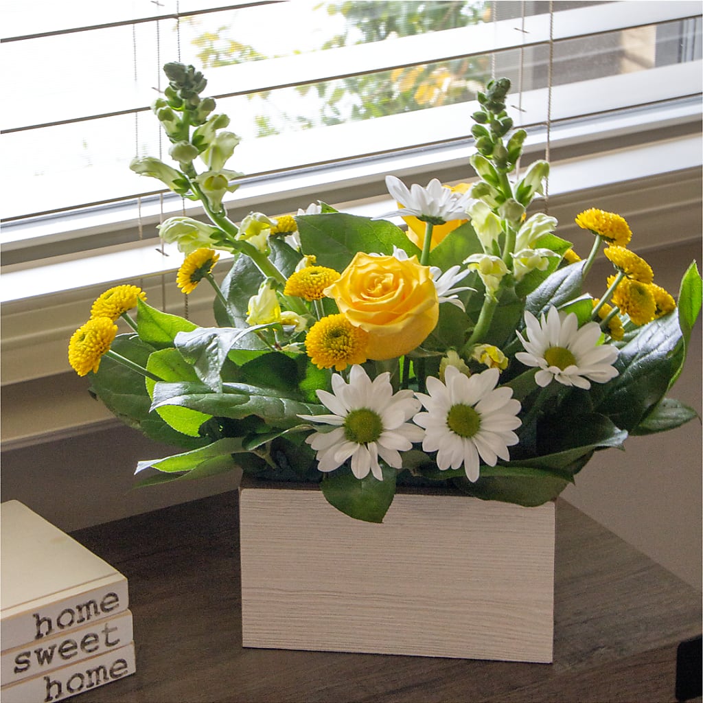 Sun Salutation Box Bouquet –  Kroger, Cincinnati OH