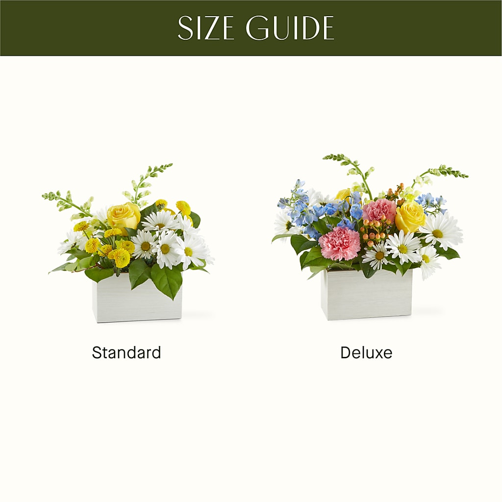 Sun Salutation Box Bouquet –  Kroger, Cincinnati OH