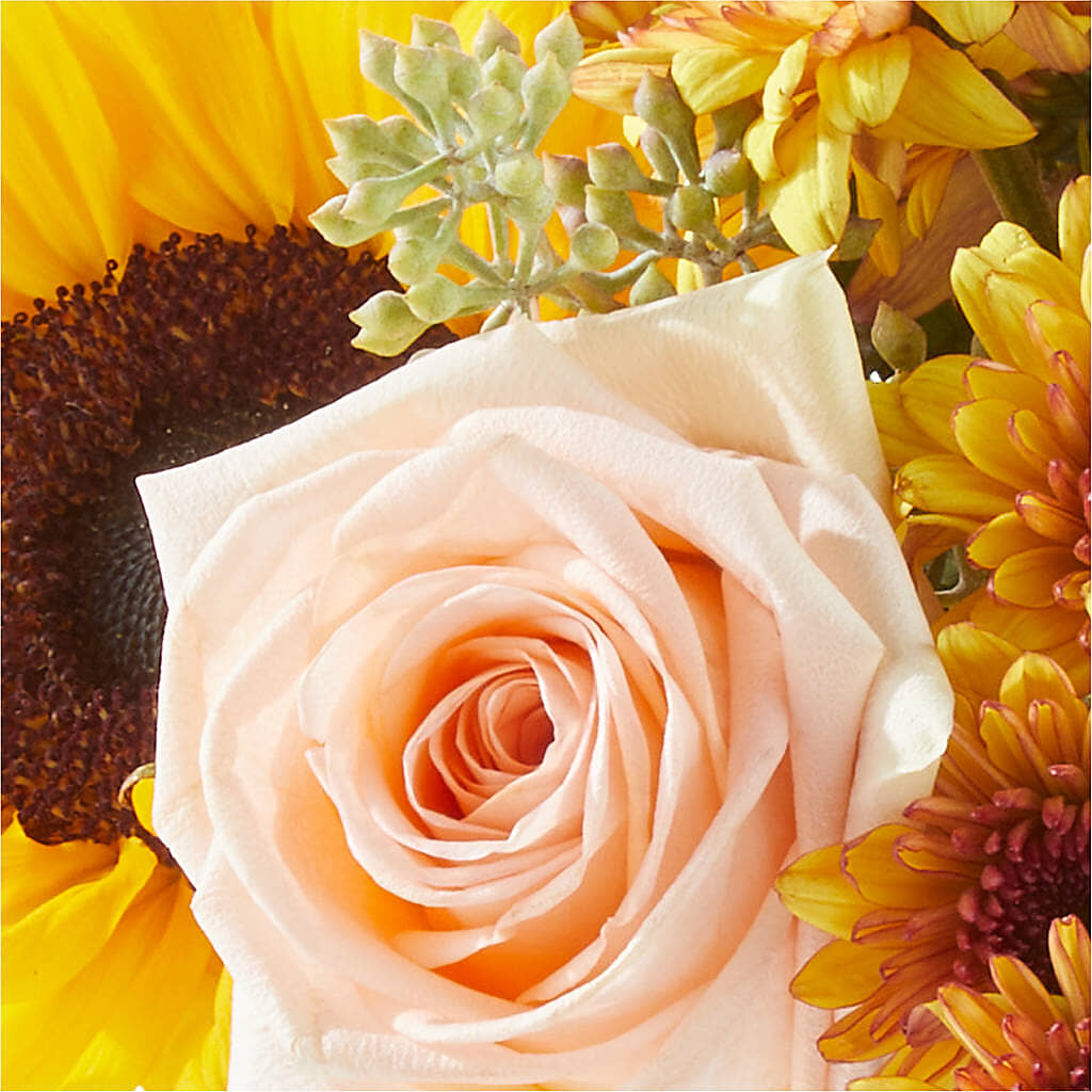 Pumpkin to Talk About Bouquet –  Kroger, Cincinnati OH