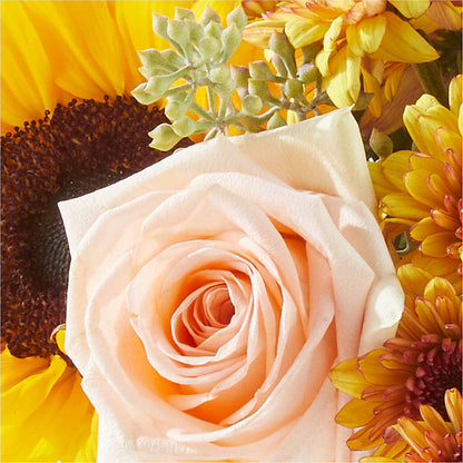 Pumpkin to Talk About Bouquet –  Kroger, Cincinnati OH