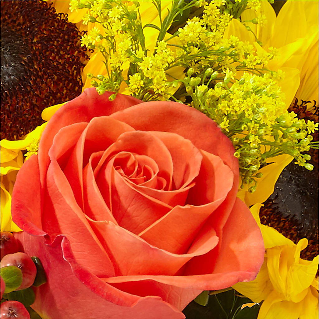 Pick of the Patch Pumpkin Bouquet –  Kroger, Cincinnati OH