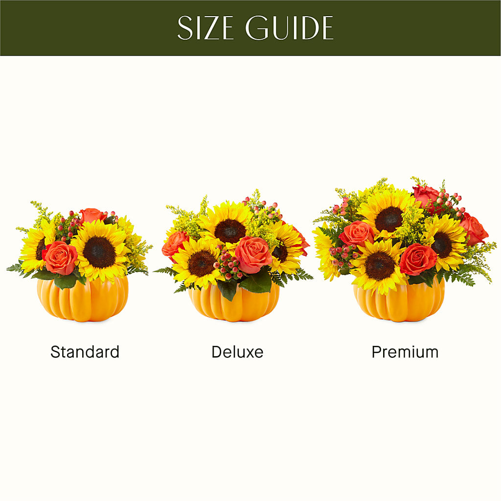 Pick of the Patch Pumpkin Bouquet –  Kroger, Cincinnati OH