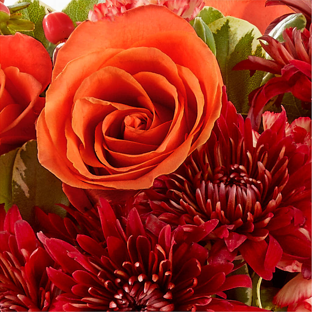 Autumn Air Pumpkin Bouquet –  Kroger, Cincinnati OH