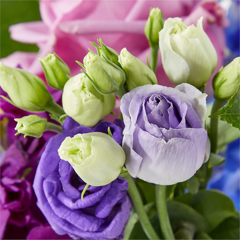 Twilight Glow Bouquet –  Kroger, Cincinnati OH