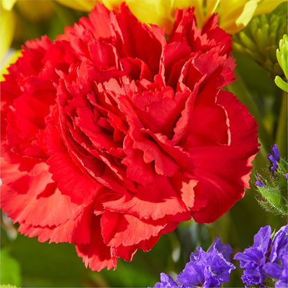 Brighter Days Bouquet –  Kroger, Cincinnati OH