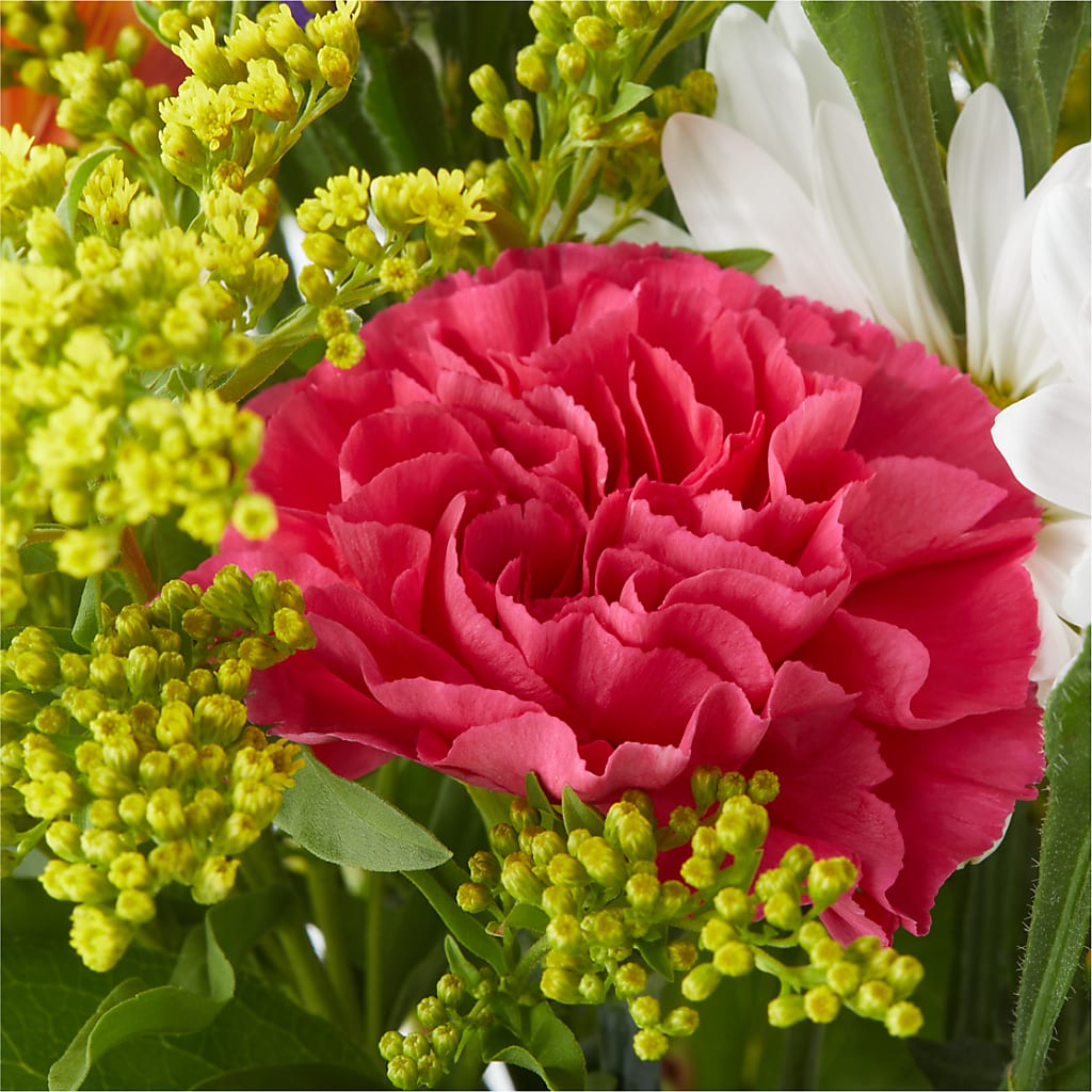 Oopsie Daisy Bouquet –  Kroger, Cincinnati OH
