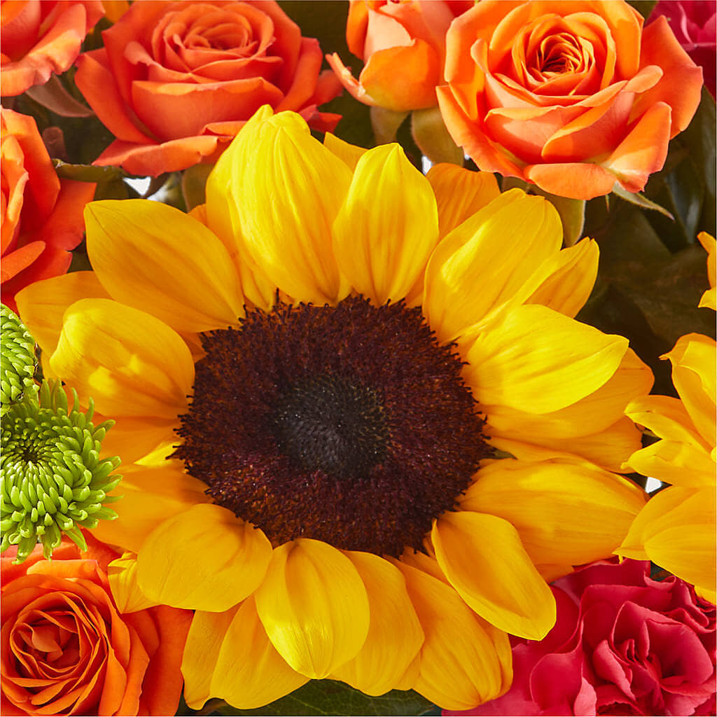 Sun-drenched Blooms Box Bouquet –  Kroger, Cincinnati OH