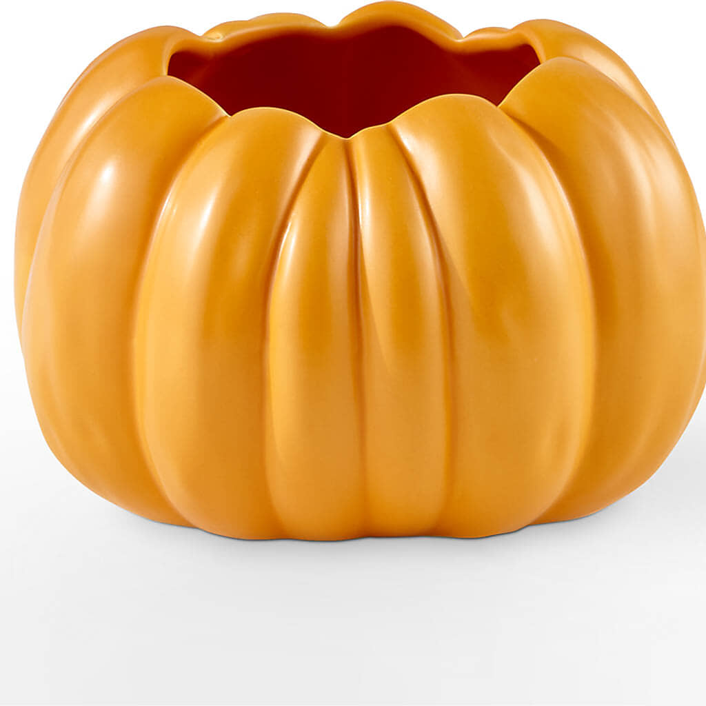 Golden Gourd Pumpkin Bouquet –  Kroger, Cincinnati OH
