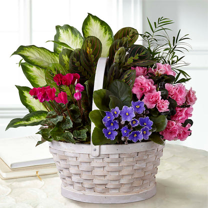 Peaceful Garden Planter –  Kroger, Cincinnati OH