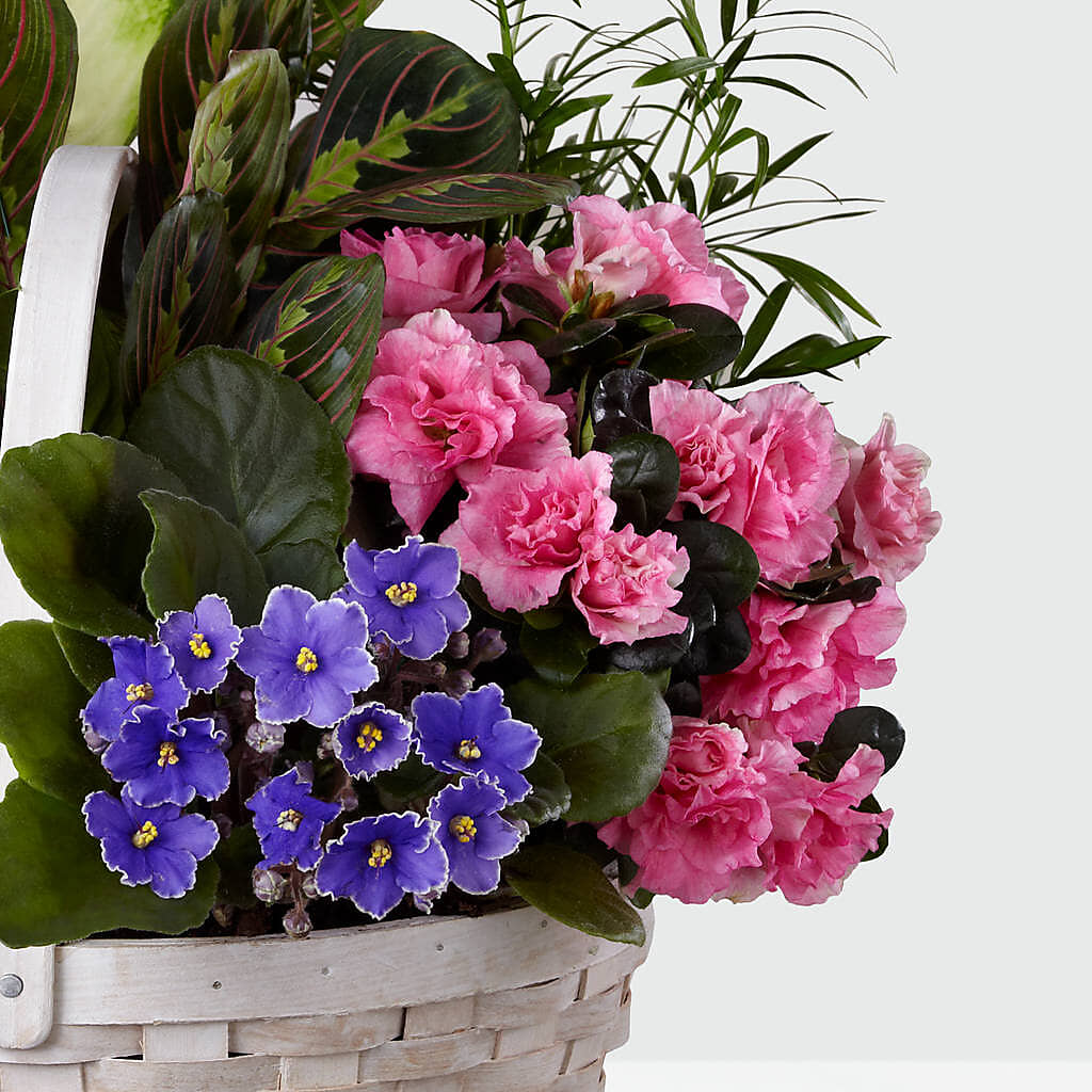 Peaceful Garden Planter –  Kroger, Cincinnati OH