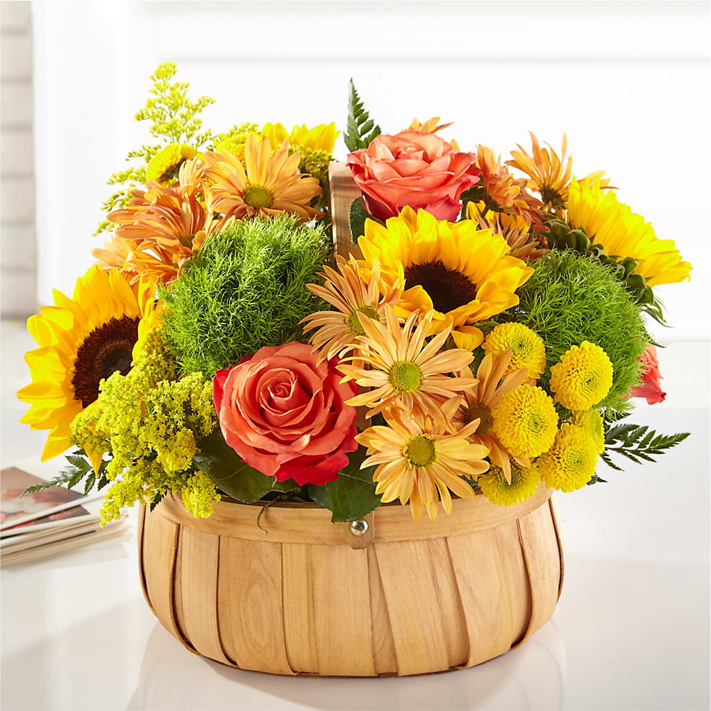Harvest Sunflower Basket –  Kroger, Cincinnati OH