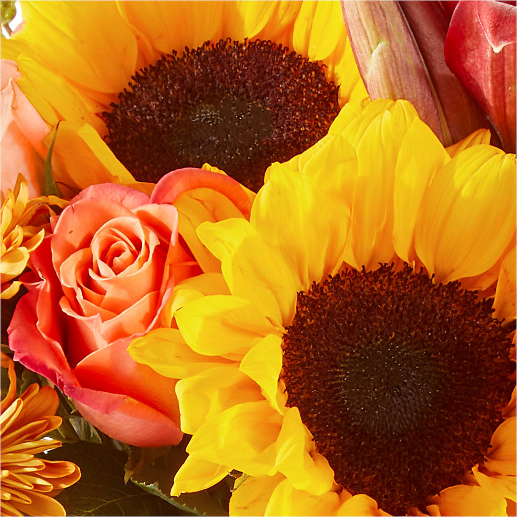Acorn Lane Bouquet –  Kroger, Cincinnati OH