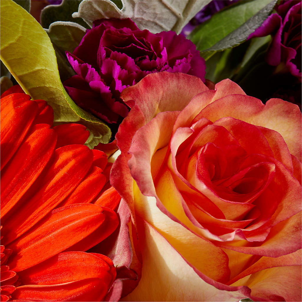 Sangria Bouquet –  Kroger, Cincinnati OH