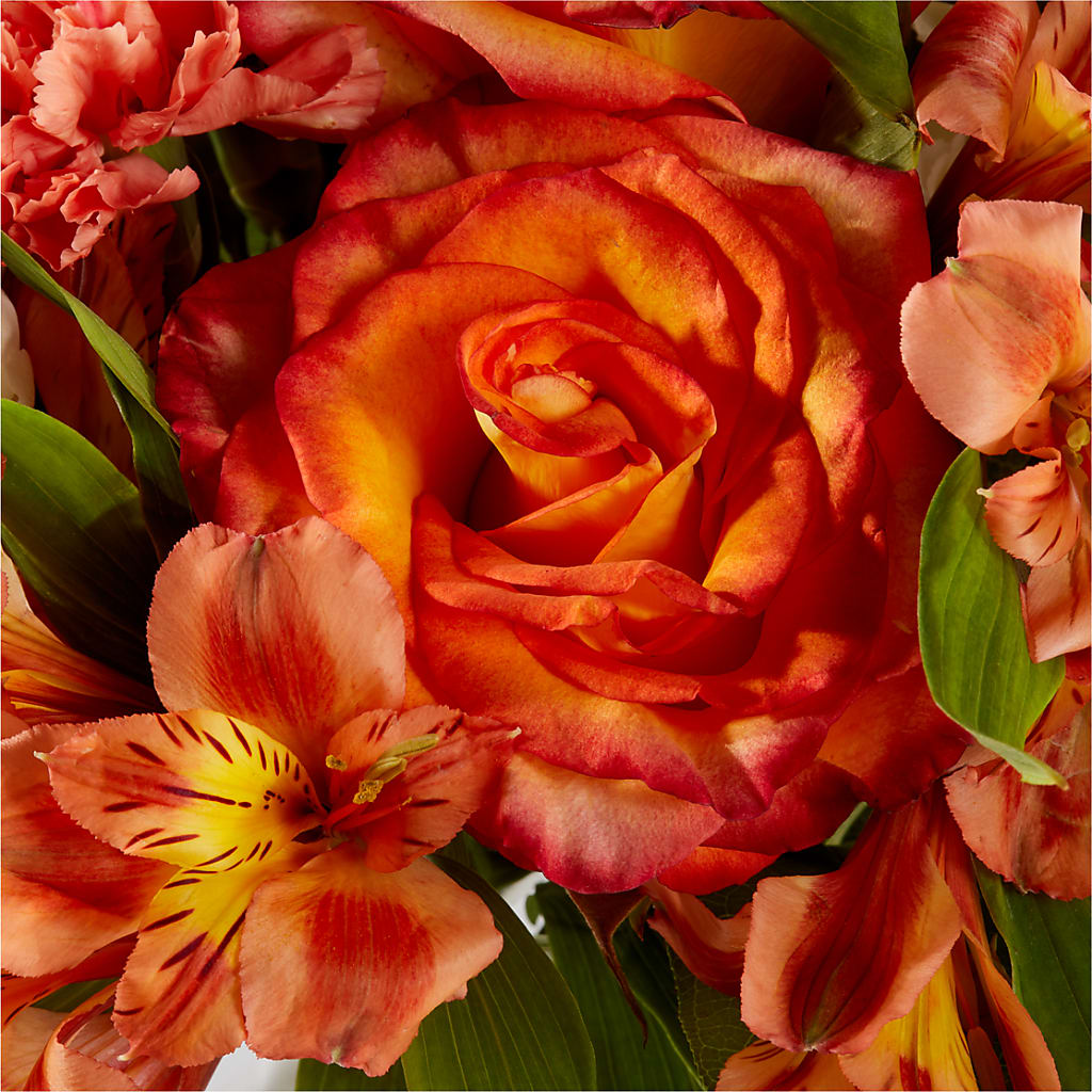Apricot Glow Bouquet –  Kroger, Cincinnati OH