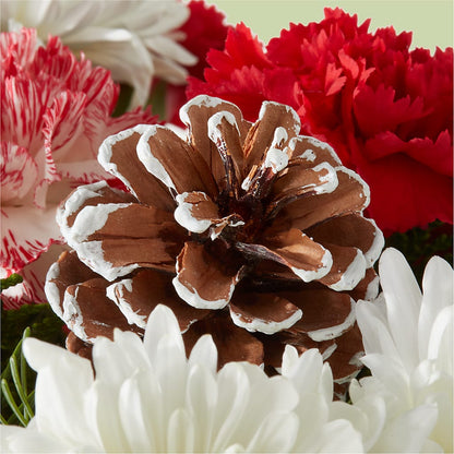 Candy Cane Lane Bouquet –  Kroger, Cincinnati OH