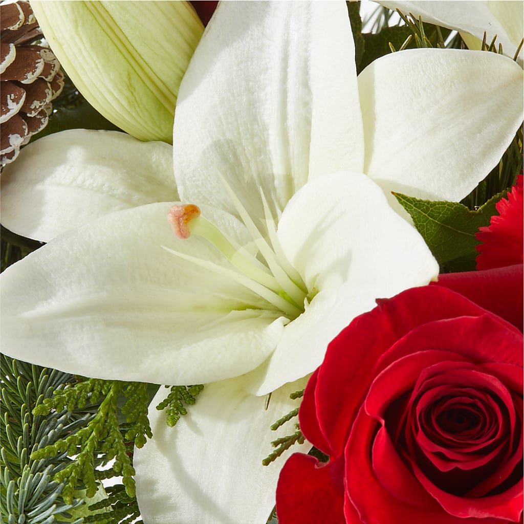 Oh So Jolly Bouquet –  Kroger, Cincinnati OH