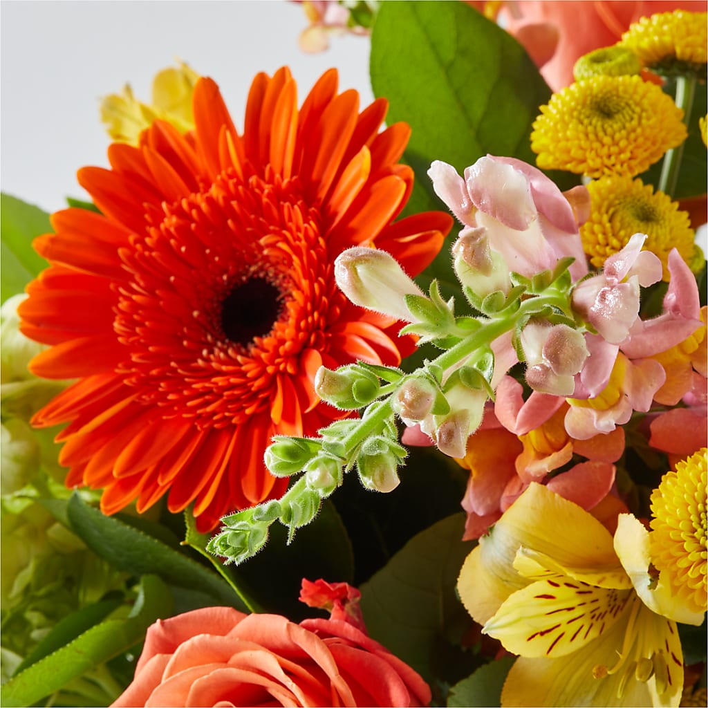 Autumn Sunshine Bouquet –  Kroger, Cincinnati OH