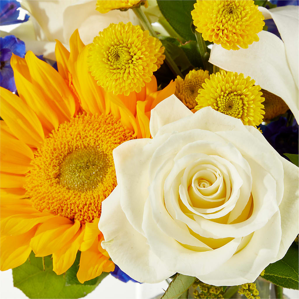 Stargazing Bouquet –  Kroger, Cincinnati OH