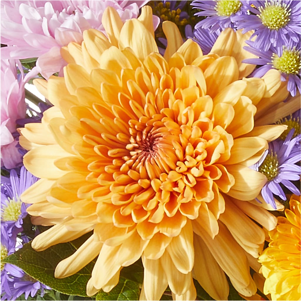Countryside Bouquet –  Kroger, Cincinnati OH