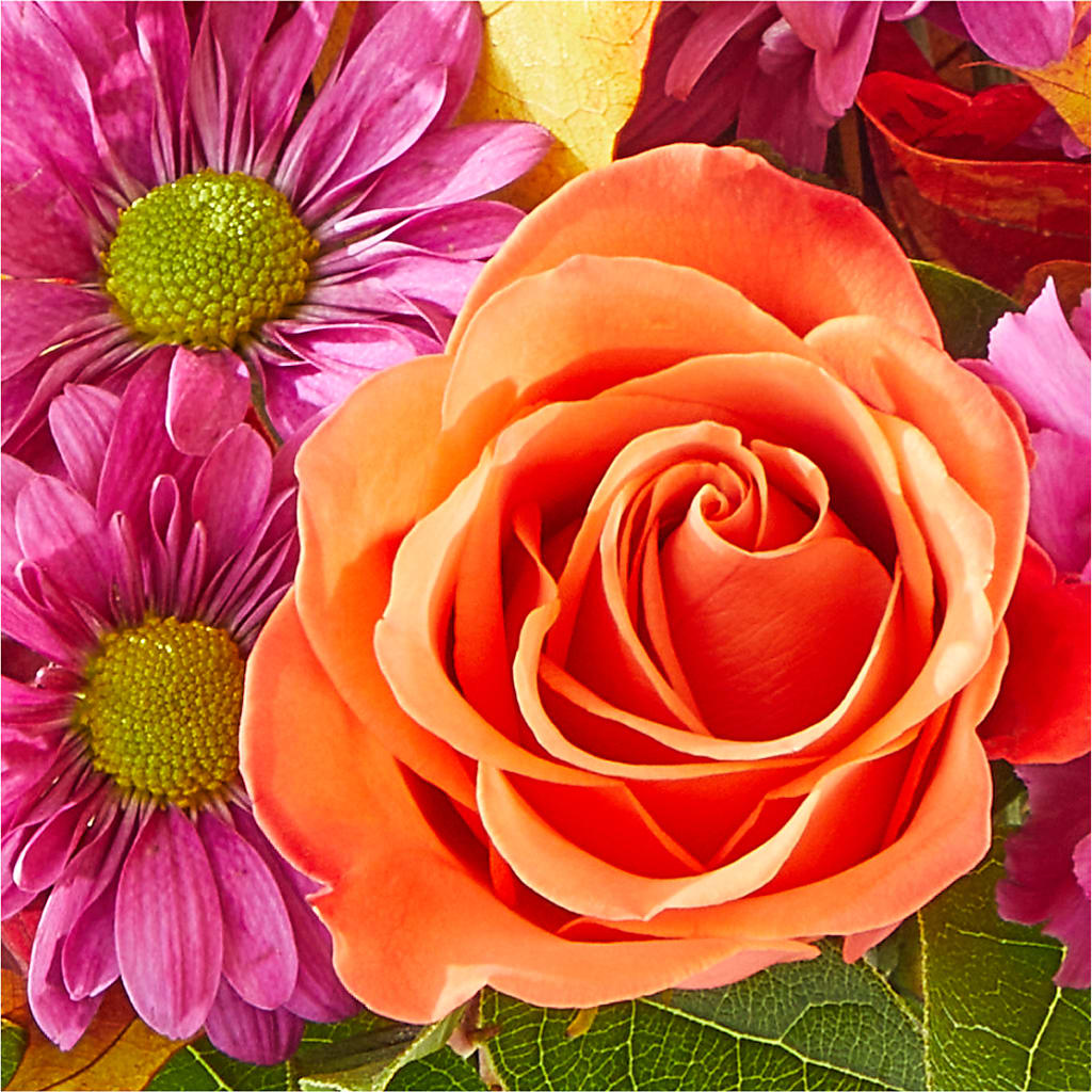 Mum's the Word Bouquet –  Kroger, Cincinnati OH