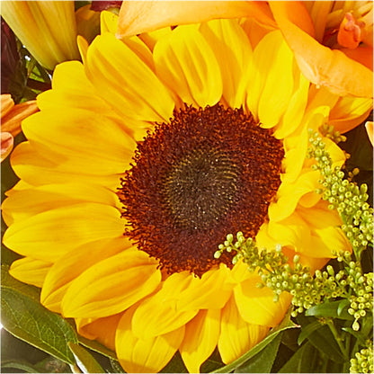 Seasons Change Bouquet –  Kroger, Cincinnati OH