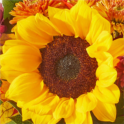 Sunny Side Bouquet –  Kroger, Cincinnati OH