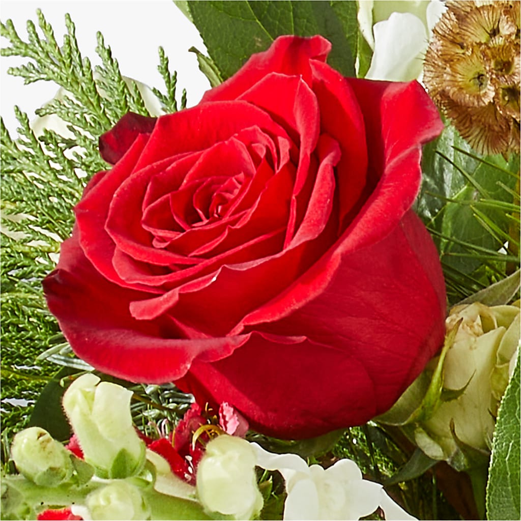 Deck the Halls Bouquet –  Kroger, Cincinnati OH
